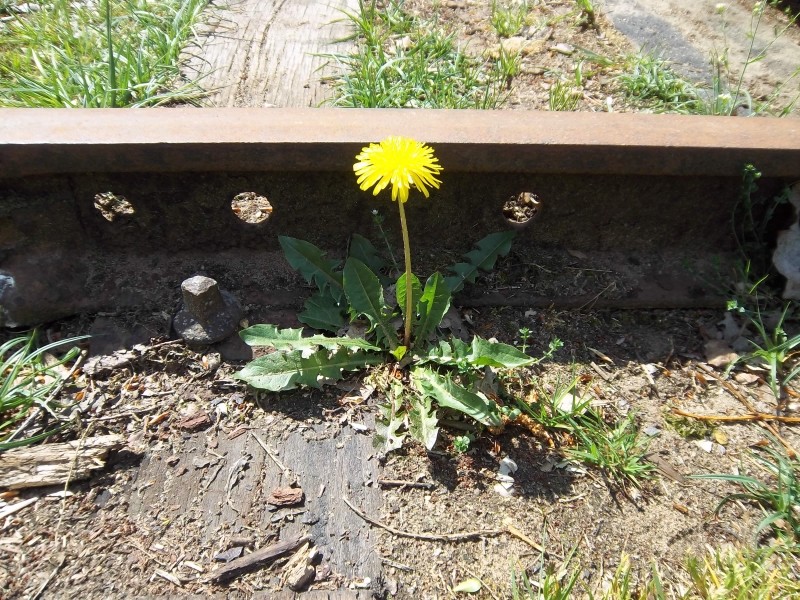 Bahnhof7